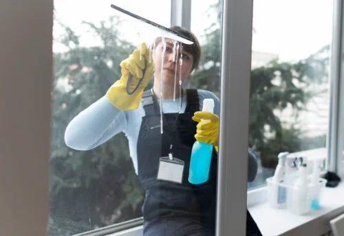 Nettoyage de vitres intérieures et extérieures à Mâron